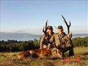 Chile - Red Deer Hunt 101